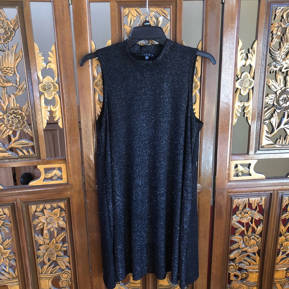 Tiana B. Mock Neck Sleeveless Sparkle Shift Dress